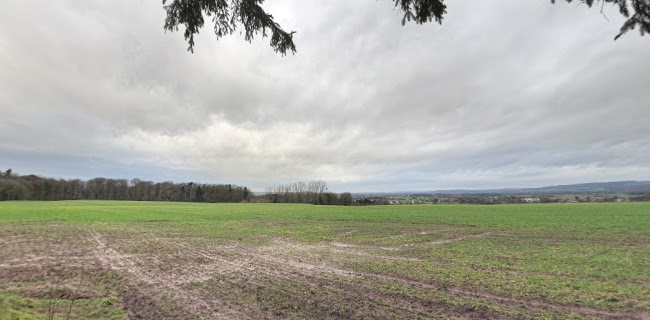 Wilhelmsburg Asia Modern