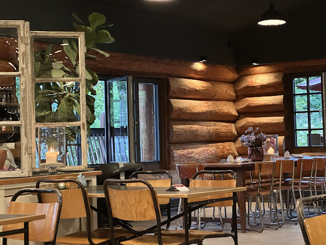 Comentarii opinii despre DINZLER Hochstrass