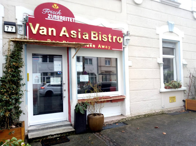 Van Asia Bistro - Baden-Baden