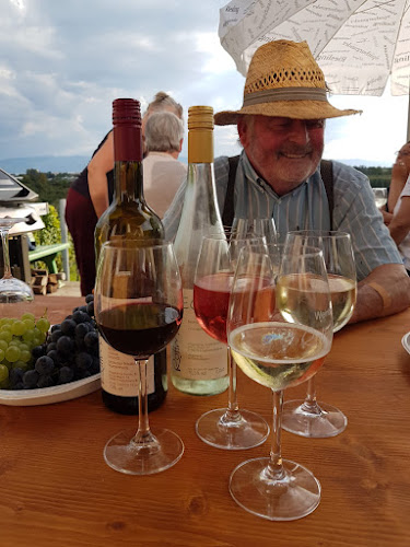 Weinbau-Brennerei-Rädlewirtschaft Rottmar - Gastronomie und Hotellerie