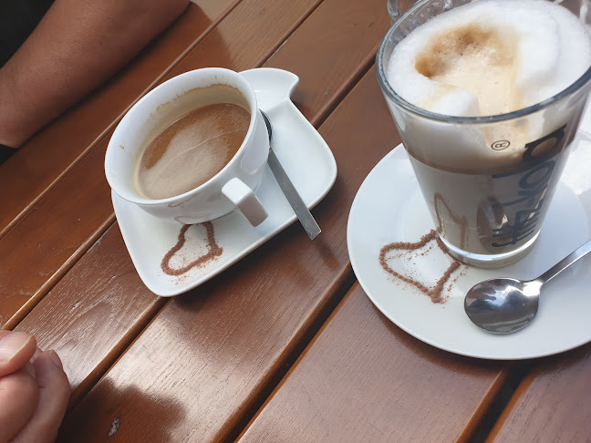 Comentarii opinii despre Lisas Palmengarten