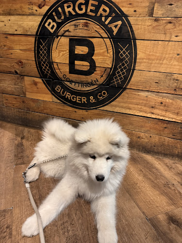 Comentarii opinii despre Burgeria