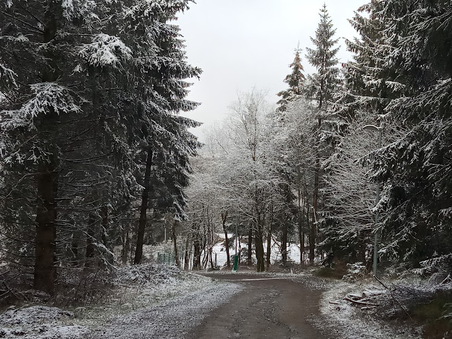 Bocksberghütte Hahnenklee