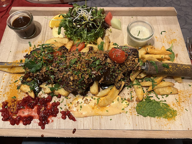 Roter Milan - Halle (Saale)