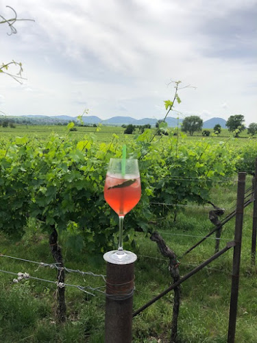 76829 Landau in der Pfalz