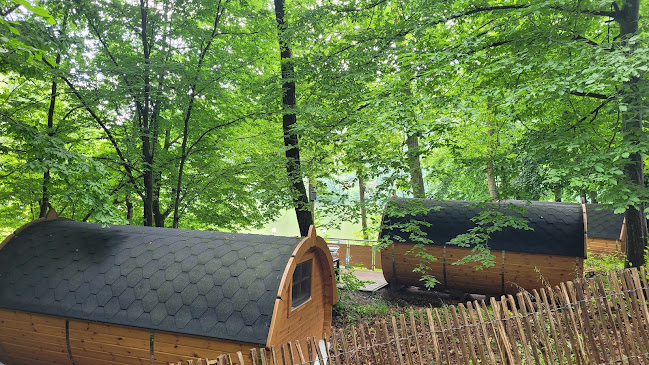 Comentarii opinii despre Restaurant & Waldcafé Am Kunstteich