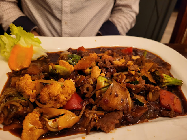 Asia Hai Restaurant&Sushi Bar - Gastronomie und Hotellerie