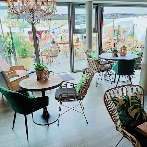 Comentarii opinii despre Miral