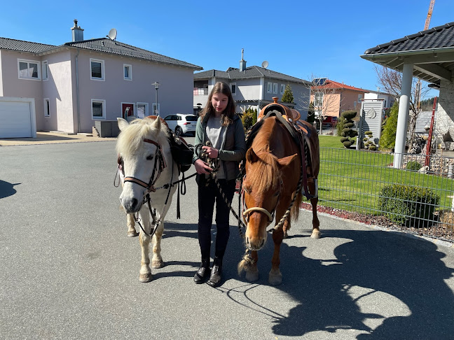 Comentarii opinii despre Irchariada Eiswogn