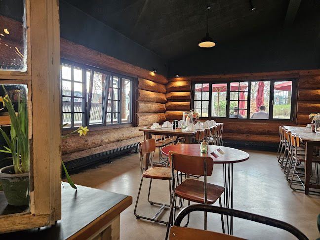 Comentarii opinii despre DINZLER Hochstrass