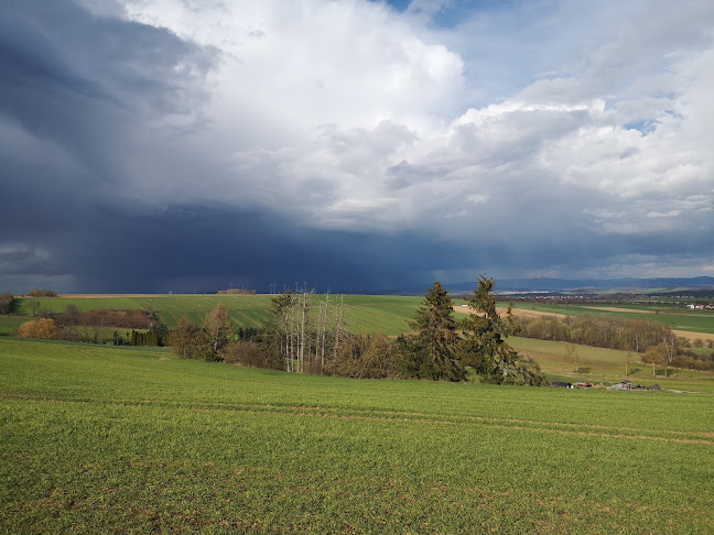 Zur Seulinger Warte - Seulingen