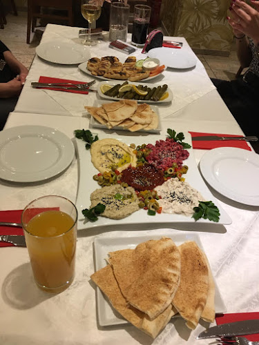 Opinii despre Palmyra Restaurant & Shisha Lounge în Villingen-Schwenningen - Gastronomie und Hotellerie