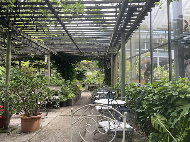 CAFÉ LE PIC VERT - Gastronomie und Hotellerie