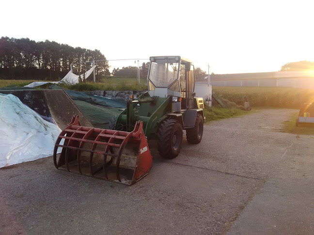 Opinii despre Xaver Mayer în Pöttmes - Gastronomie und Hotellerie