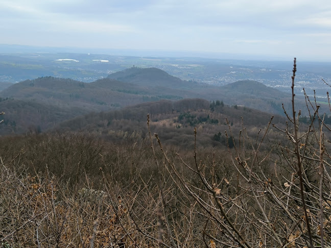 Gasthaus auf dem Oelberg - Gastronomie und Hotellerie