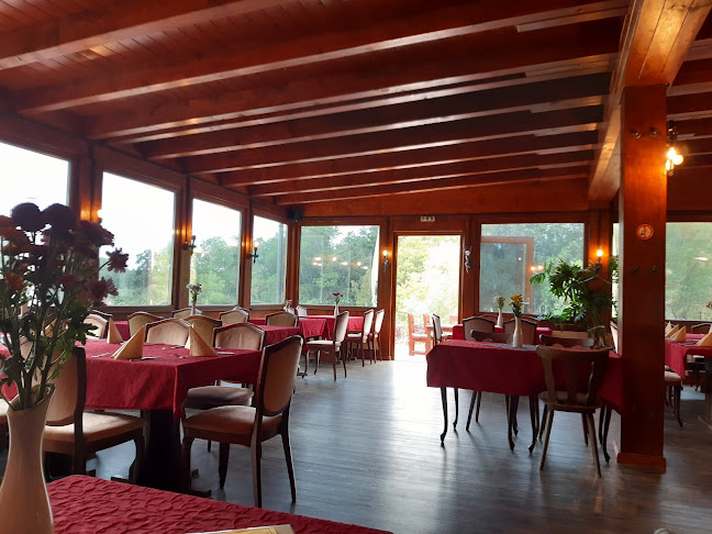 Opinii despre Roter Milan în Halle (Saale) - Gastronomie und Hotellerie