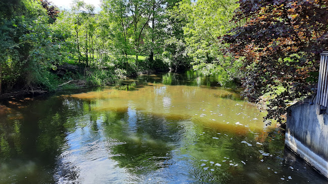 Comentarii opinii despre Zur Alten Wassermühle