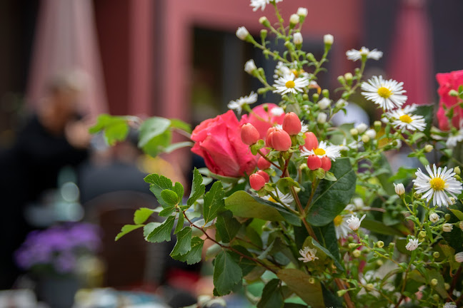 Comentarii opinii despre Café am Teich - Georgenhof, 88662 Überlingen (Bambergen)