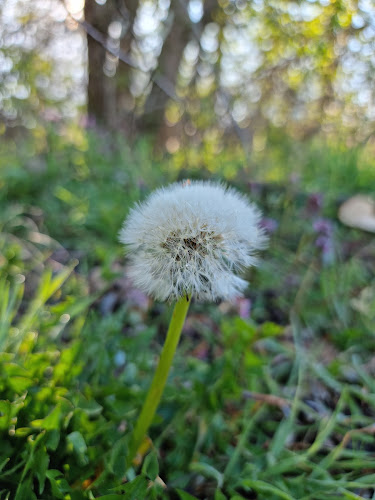 Unnamed Road, 68794, 68794 Oberhausen-Rheinhausen