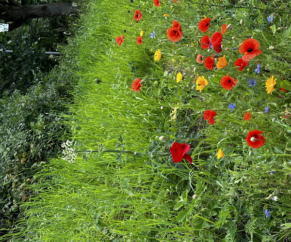 Opinii despre Musikkneipe BWM UG ig în Osnabrück - Gastronomie und Hotellerie