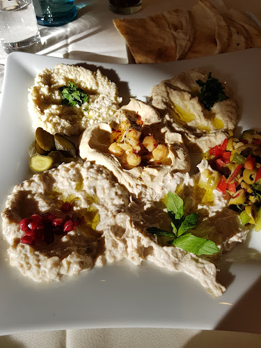 Palmyra Restaurant & Shisha Lounge - Gastronomie und Hotellerie