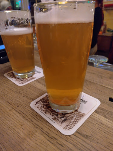 Comentarii opinii despre Kater Murr