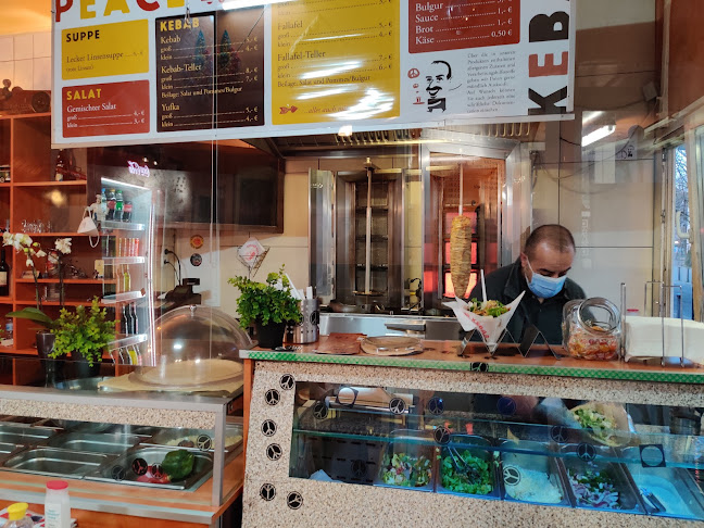 Salora Saarbrücken Grills