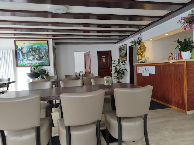 Comentarii opinii despre Hoa Sen - Asiatische Küche