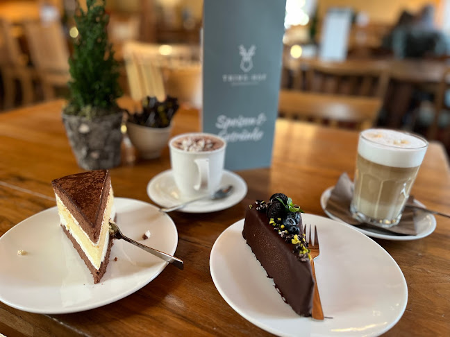 Thingstraße 12, 59519 Möhnesee