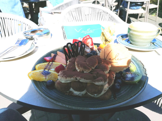 Comentarii opinii despre Valeo. Die Eismacher