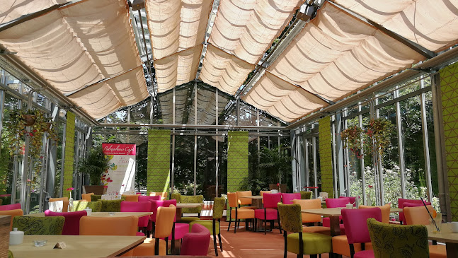 Palmenhaus-Café