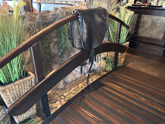 Mendoza - Gütersloh