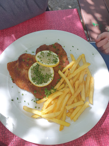 Opinii despre Maxim Gaststätte în Aschaffenburg - Gastronomie und Hotellerie