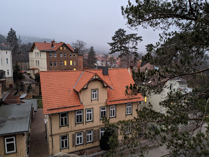 Wohnmobilstellplatz Blankenburg, Schnappelberg
