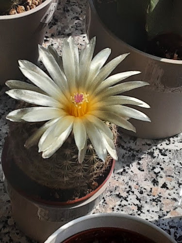 Siegstraße 86, 57250 Netphen