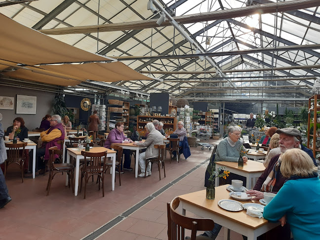 Opinii despre Café im Sängerhof în Meckenheim - Gastronomie und Hotellerie