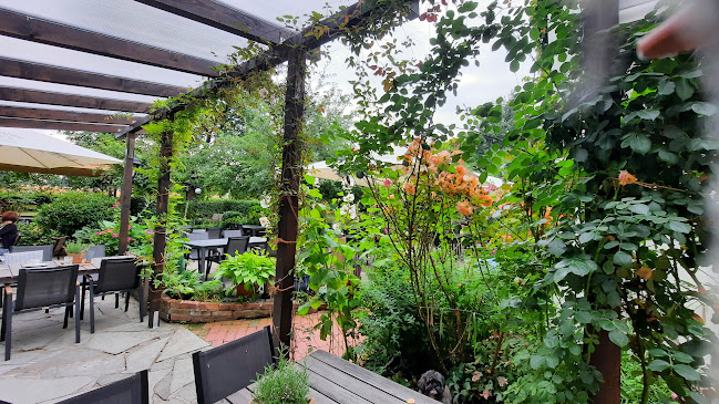 Thingstraße 12, 59519 Möhnesee