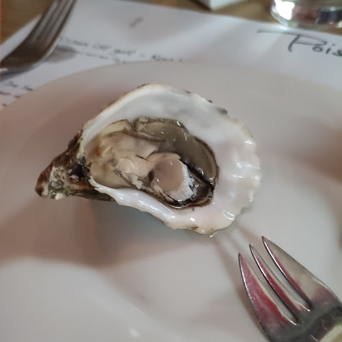 Wolfsstraße 6-14, 50667 Köln