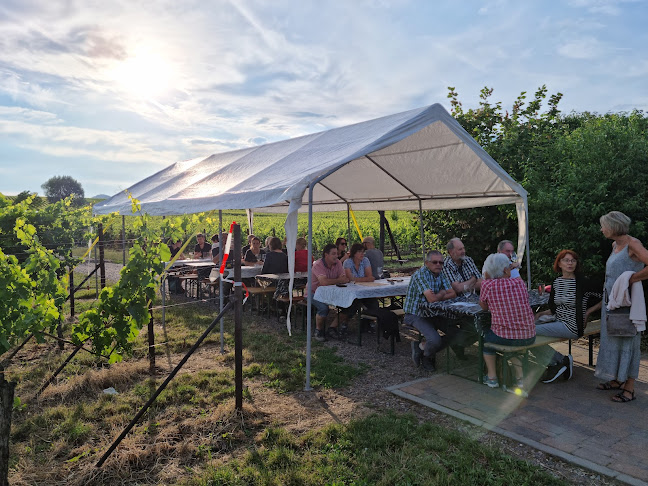 Comentarii opinii despre Pergola am Nußdorfer Weinerlebnispfad