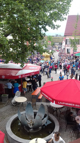 Marktpl. 20, 88471 Laupheim