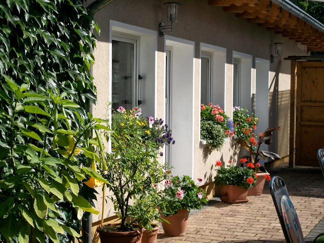 Bräustüb'l Gudrun Hain - Gotha