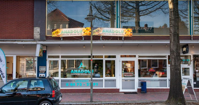 Anadolu Emstek Döner Kebab Pizza