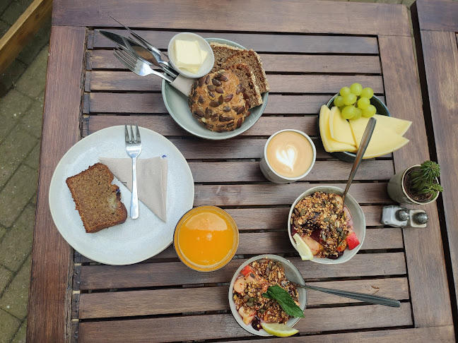 Hansaring 25, 48155 Münster