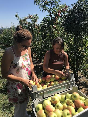 Quellstraße 112, 52249 Eschweiler