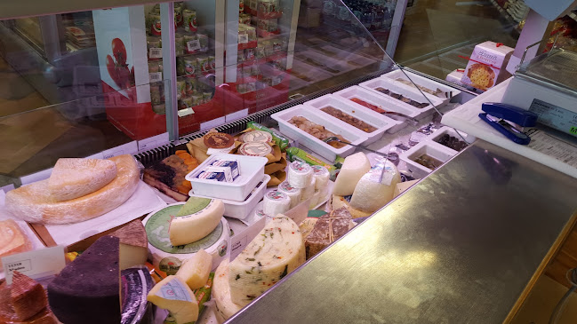 Andronaco HafenContor