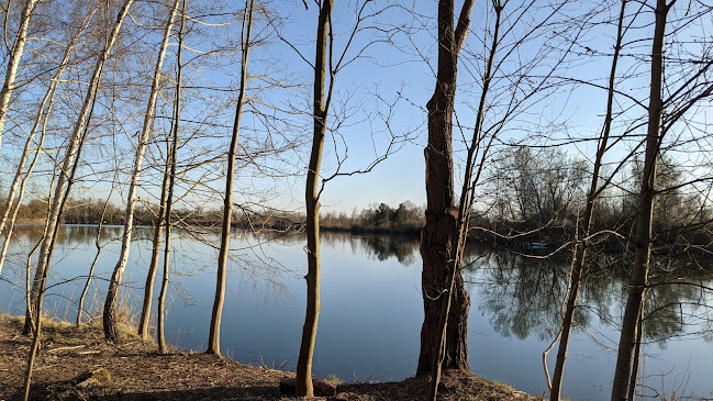 Opinii despre ASV Fischerhaus (Reinhausen) în Oberhausen-Rheinhausen - Gastronomie und Hotellerie