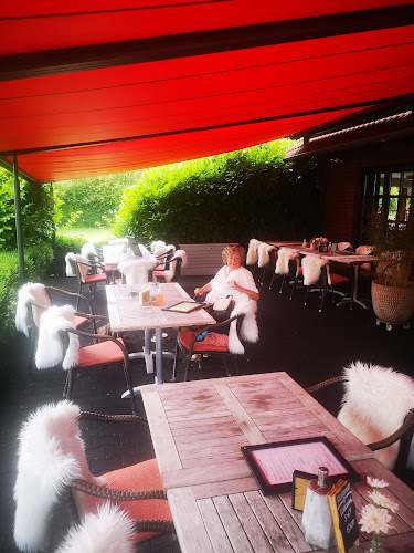 Comentarii opinii despre Restaurant Wildgarten