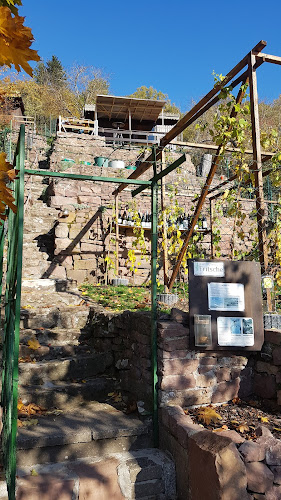 Comentarii opinii despre WeinCampus Fritsche