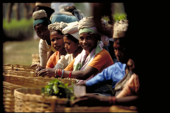 Opinii despre Teeblätter Versand în Überlingen - Gastronomie und Hotellerie
