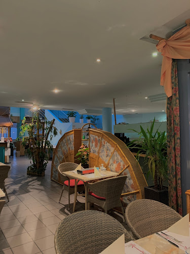 Comentarii opinii despre Bamboo Garden